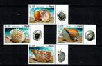angola 2018 pf serie schelpen shells zeeleven, Ophalen of Verzenden, Postfris, Dier of Natuur