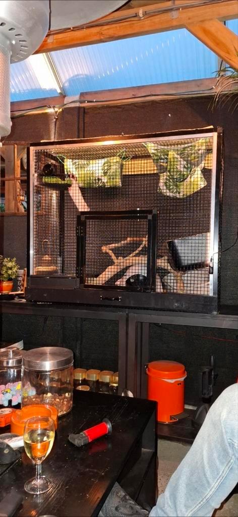 Ratten kooi, Dieren en Toebehoren, Knaagdieren en Konijnen | Hokken en Kooien, Gebruikt, Hok, 90 cm of meer, 110 cm of meer, Ophalen