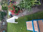 Te koop electrisch zonnescherm, Tuin en Terras, 150 tot 300 cm, Ophalen, Zo goed als nieuw, Knikarmscherm