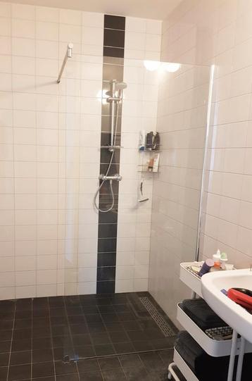 Moderne douchedeur zilver beschikbaar voor biedingen