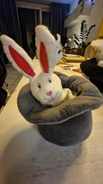 Goochelaar verzameling  beschikbaar voor biedingen