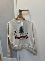 Leuke H&M Snoopy Trui - Maat S, Ophalen of Verzenden, Nieuw, Maat 38/40 (M), Grijs
