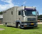 MAN TGM 6-paards paardenvrachtwagen, Auto's, Vrachtwagens, Automaat, Zwart, Overige kleuren, Metallic lak