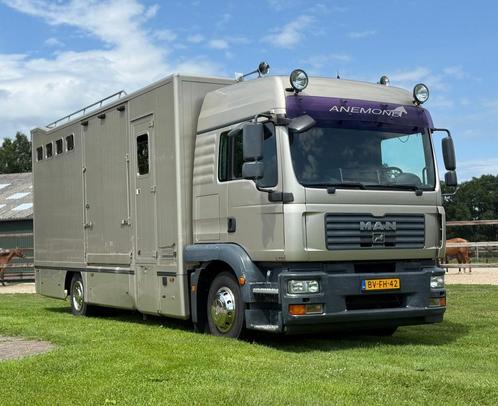 MAN TGM 6-paards paardenvrachtwagen, Auto's, Vrachtwagens, Bedrijf, Achteruitrijcamera, Airconditioning, Boordcomputer, Centrale vergrendeling
