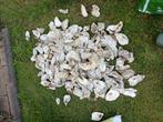 Franse schelpen, Tuin en Terras, Grind, Keien en Split, Ophalen, Overige materialen, Overige typen