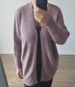 Vest Roze M Ongedragen, Kleding | Dames, Truien en Vesten, Maat 38/40 (M), Verzenden, Nieuw, Roze