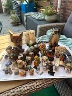 Uilen te koop, Ophalen of Verzenden, Zo goed als nieuw