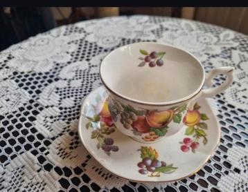 Sint James bone china cominton appel/Pruim kop&schotel  beschikbaar voor biedingen