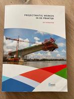 Projectmatig Werken in de Praktijk - Ed Schouten, Ophalen of Verzenden, Gelezen, HBO