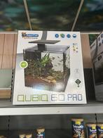 Diverse aquariums, Ophalen, Zo goed als nieuw, Leeg aquarium