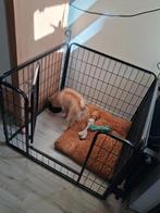 Hondenbench 85x85x65, Dieren en Toebehoren, Ophalen of Verzenden, Zo goed als nieuw