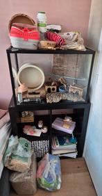 Terrarium 70x50x40 cm (hxbxd), Gebruikt, Minder dan 75 cm, Ophalen, Minder dan 60 cm