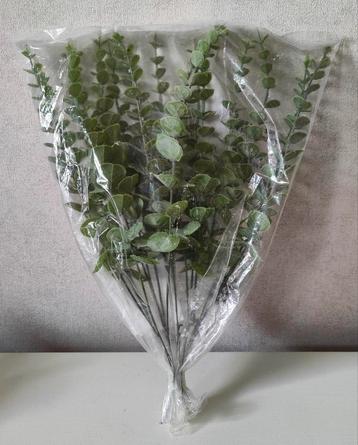 Kunst Eucalyptus 18 stelen  beschikbaar voor biedingen