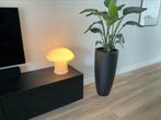 Vetri murano lamp glas (Italiaans design) paddestoel, Huis en Inrichting, Lampen | Tafellampen, Ophalen of Verzenden, Zo goed als nieuw