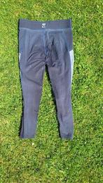 Paardrijbroek Kingsland XL, Dieren en Toebehoren, Paardrijkleding, Gebruikt, Dames, Recreatie, Onderkleding