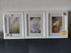 Fotolijsten 3 stuks : met passepartout. Nieuw., Ophalen of Verzenden, Nieuw