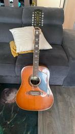Eko gitar, Muziek en Instrumenten, Snaarinstrumenten | Gitaren | Akoestisch, Ophalen, Zo goed als nieuw, Western- of Steelstringgitaar
