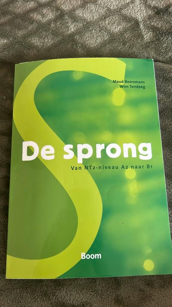 Maud Beersmans - De sprong, Boeken, Schoolboeken, Zo goed als nieuw, Nederlands, Overige niveaus, Ophalen of Verzenden