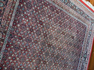 Hand-knotted - Persian Bidjar Rug - 251 x 240 cm beschikbaar voor biedingen
