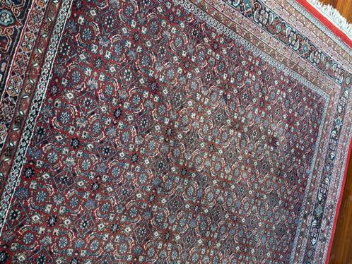 Hand-knotted - Persian Bidjar Rug - 251 x 240 cm, Huis en Inrichting, Stoffering | Tapijten en Kleden, Gebruikt, 200 cm of meer