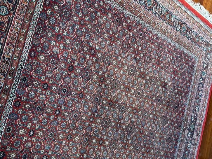 Hand-knotted - Persian Bidjar Rug - 251 x 240 cm, Huis en Inrichting, Stoffering | Tapijten en Kleden, Gebruikt, 200 cm of meer