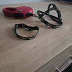 Hondenriem voor puppy of kleine hond., Ophalen