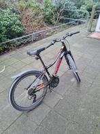 20 inch kinderfiets, Gebruikt, Hardtail, Ophalen of Verzenden, Dames