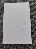 Esther, Ophalen of Verzenden, 1970 tot 1980, Geboortekaartje