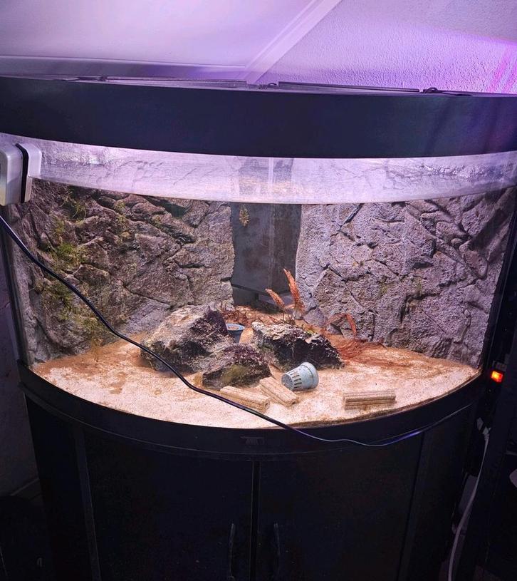 Aquarium Juwel Trigion 190L Inclusief achterwand, Dieren en Toebehoren, Vissen | Aquaria en Toebehoren, Leeg aquarium, Ophalen
