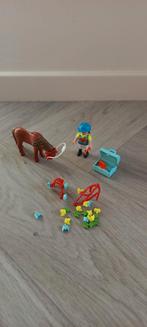 Playmobil 6971 pony versieren met vlinders, Ophalen of Verzenden, Zo goed als nieuw, Complete set
