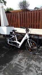 profesionele cargo bike electrische, Fietsen en Brommers, Nieuw, Overige merken, Elektrisch, Goederen