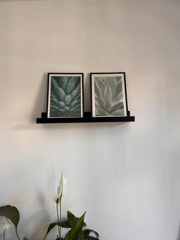 Botanische posters in zwarte dunne lijsten beschikbaar voor biedingen