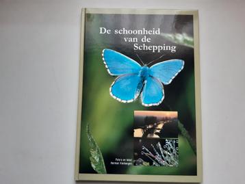 H. Vierbergen - De schoonheid van de schepping beschikbaar voor biedingen