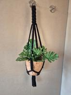Kunstplant in hanger met boho pot, Ophalen of Verzenden, Gebruikt, Binnen