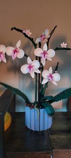 LEGO Icons Orchidee - Botanical Collection - 10311, Ophalen, Zo goed als nieuw