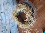 Grote houten schaal, Huis en Inrichting, Woonaccessoires | Kransen, Ophalen of Verzenden, Zo goed als nieuw