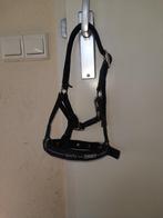 Veulen/mini shet halster, Dieren en Toebehoren, Paarden en Pony's | Hoofdstellen en Tuigage, Ophalen of Verzenden, Zo goed als nieuw