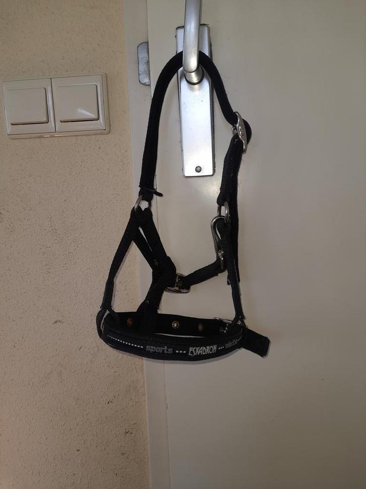 Veulen/mini shet halster, Dieren en Toebehoren, Paarden en Pony's | Hoofdstellen en Tuigage, Zo goed als nieuw, Overige soorten