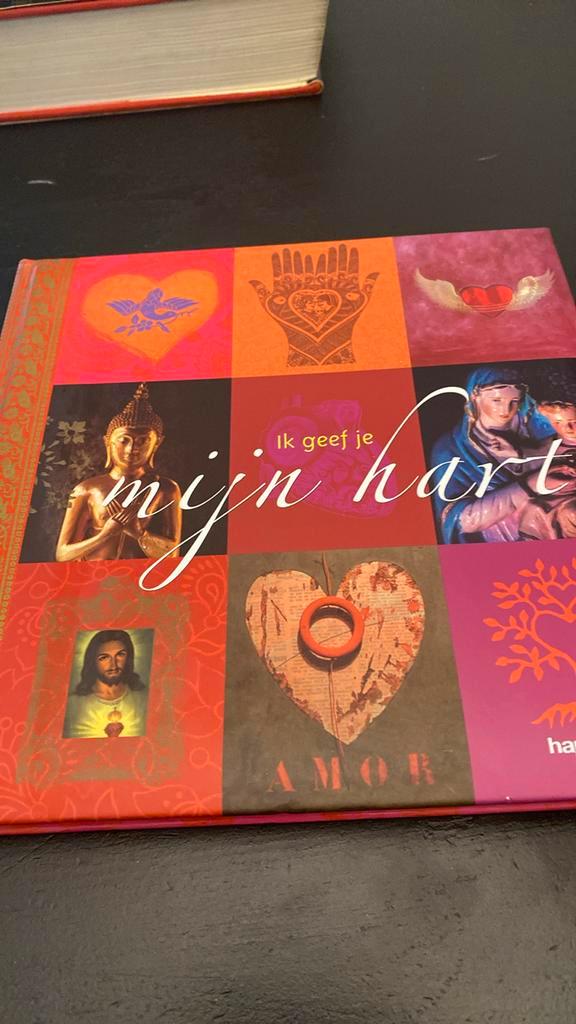 Ik geef je mijn hart, Boeken, Overige Boeken, Zo goed als nieuw, Ophalen of Verzenden