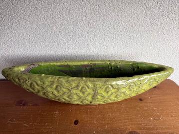 Bonsaiboom pot beschikbaar voor biedingen