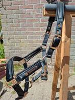 Halster Eskadron, stijgbeugelriemen, Albion zadel, enz, Ophalen of Verzenden, Zo goed als nieuw, Overige soorten