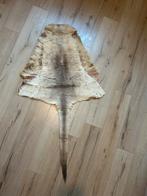 Kangoeroe huid, Huis en Inrichting, Ophalen of Verzenden, Zo goed als nieuw