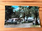 Ansichtkaart Vilt bij Valkenburg, camping de cauberg, Ophalen of Verzenden, 1960 tot 1980, Limburg
