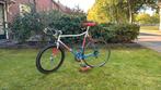 Panasonic team time trial collectors item of fixie project, Ophalen, Zo goed als nieuw, Overige typen