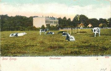 (300-175-029) Den Haag Omstreken beschikbaar voor biedingen