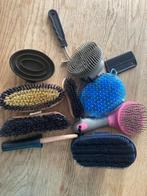 Verzorgingskoffer voor paarden, Dieren en Toebehoren, Ophalen of Verzenden, Gebruikt