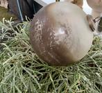 Grote xxl kerstbal, Tuin en Terras, Bloempotten, Ophalen of Verzenden, Zo goed als nieuw, Rond