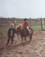 Gez. Stal / wei in eigen beheer, Dieren en Toebehoren, Stalling en Weidegang