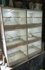 Te koop blok van 6 broedkooien., Dieren en Toebehoren, Ophalen of Verzenden, Zo goed als nieuw, Hout, Broedkooi of Kweekkooi