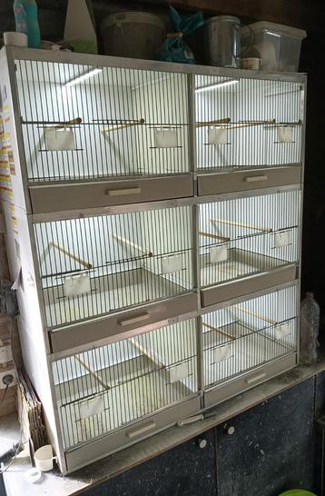 Te koop blok van 6 broedkooien. beschikbaar voor biedingen